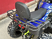 PROMAX ATV 250 MAX (2025)